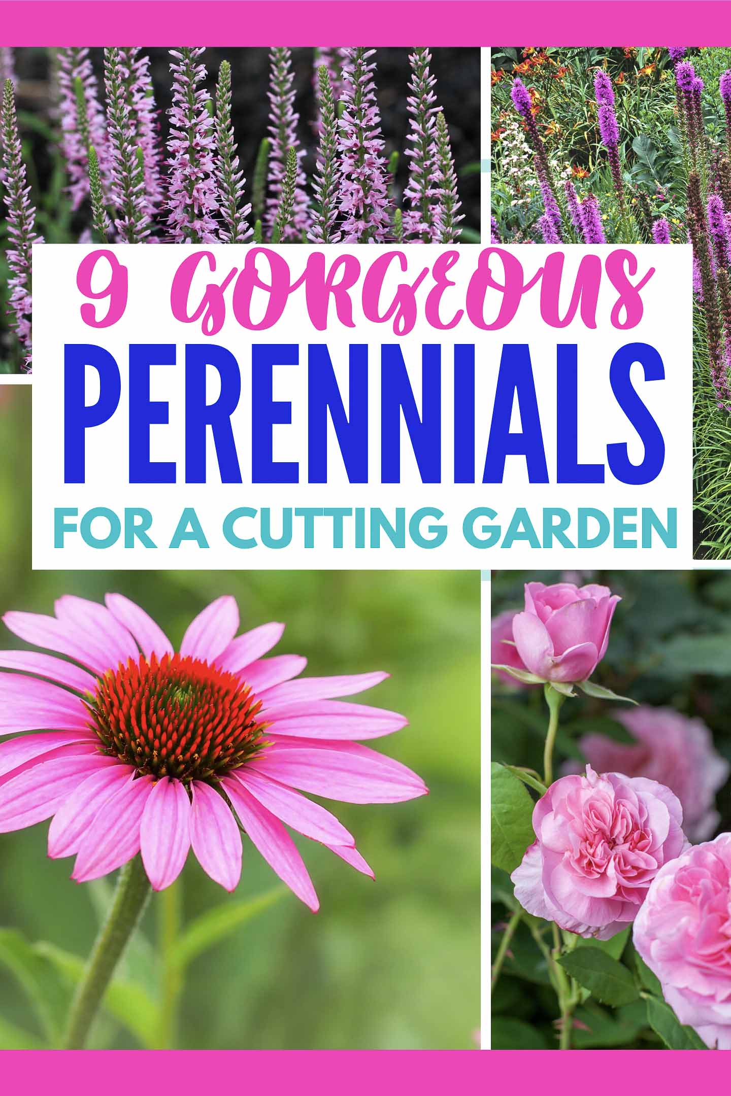 Full Sun Perennials For A Summer Cutting Garden (in zones 4 to 8)