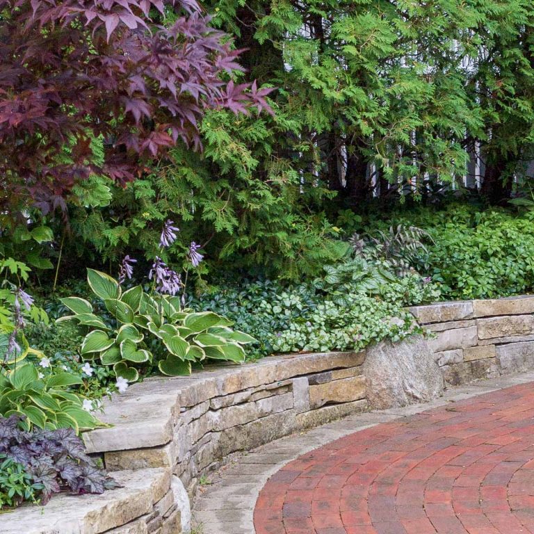 Ground Cover Plants For Shade (Perennials That Keep Weeds Down)
