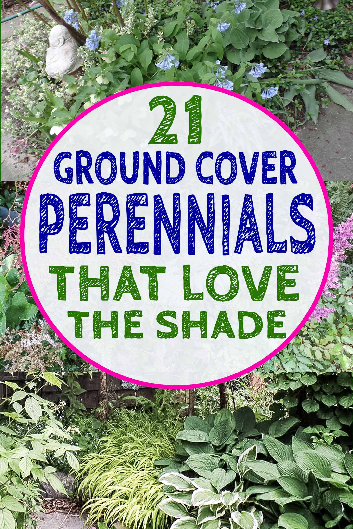 Ground Cover Plants Perennials
