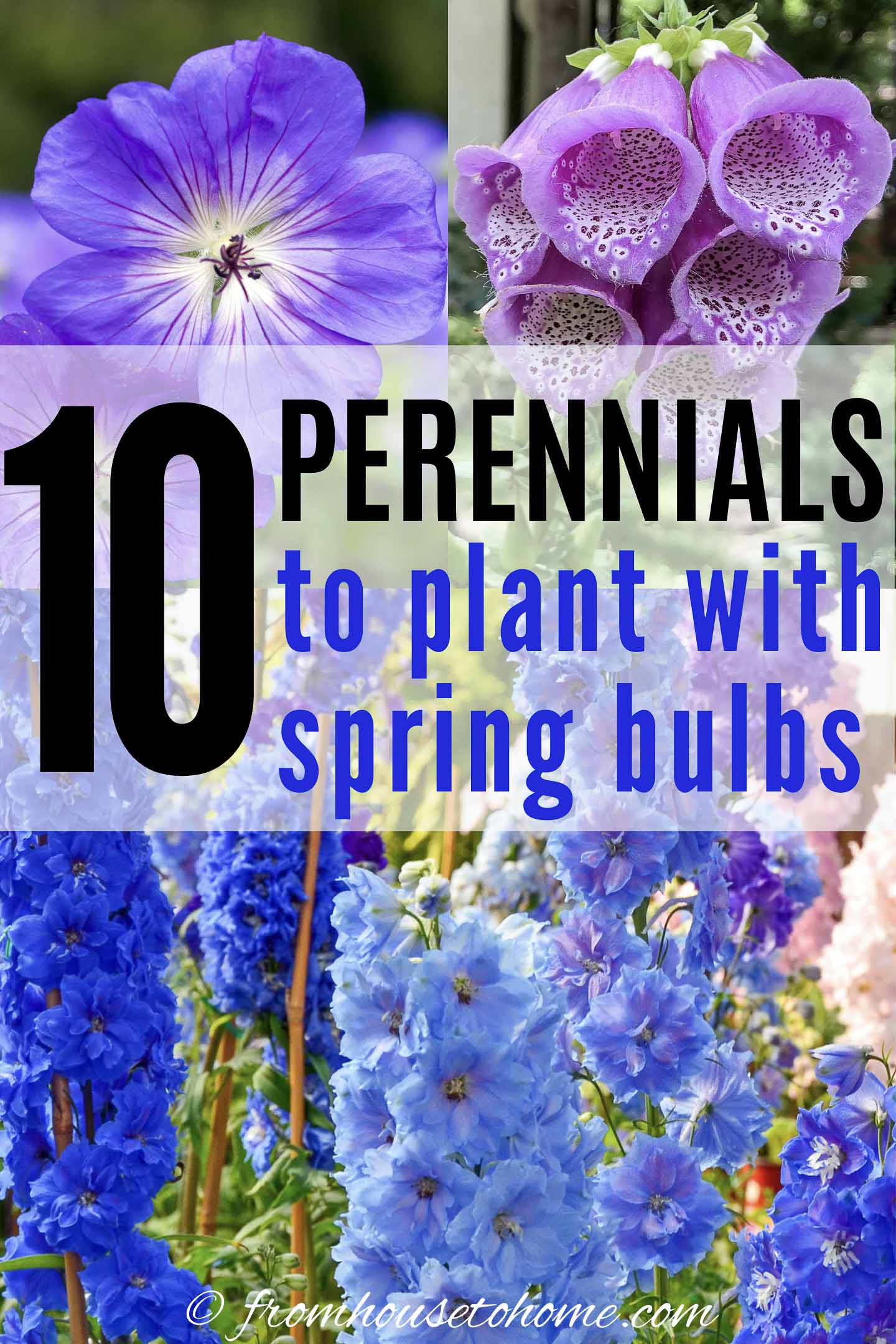 Purple and Blue spring perennials for part shade
