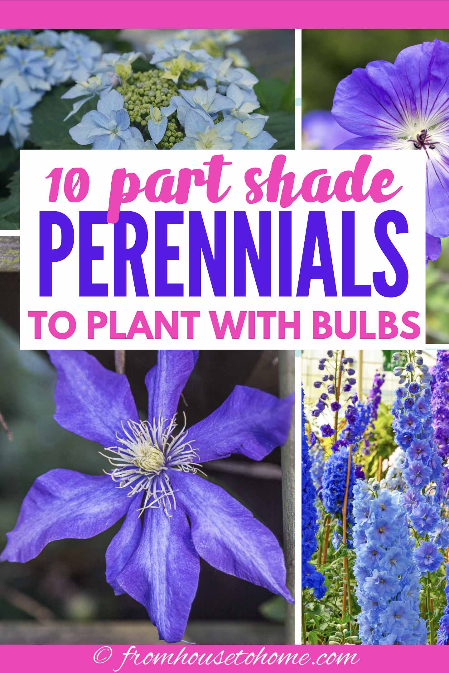 Purple and Blue spring perennials for part shade