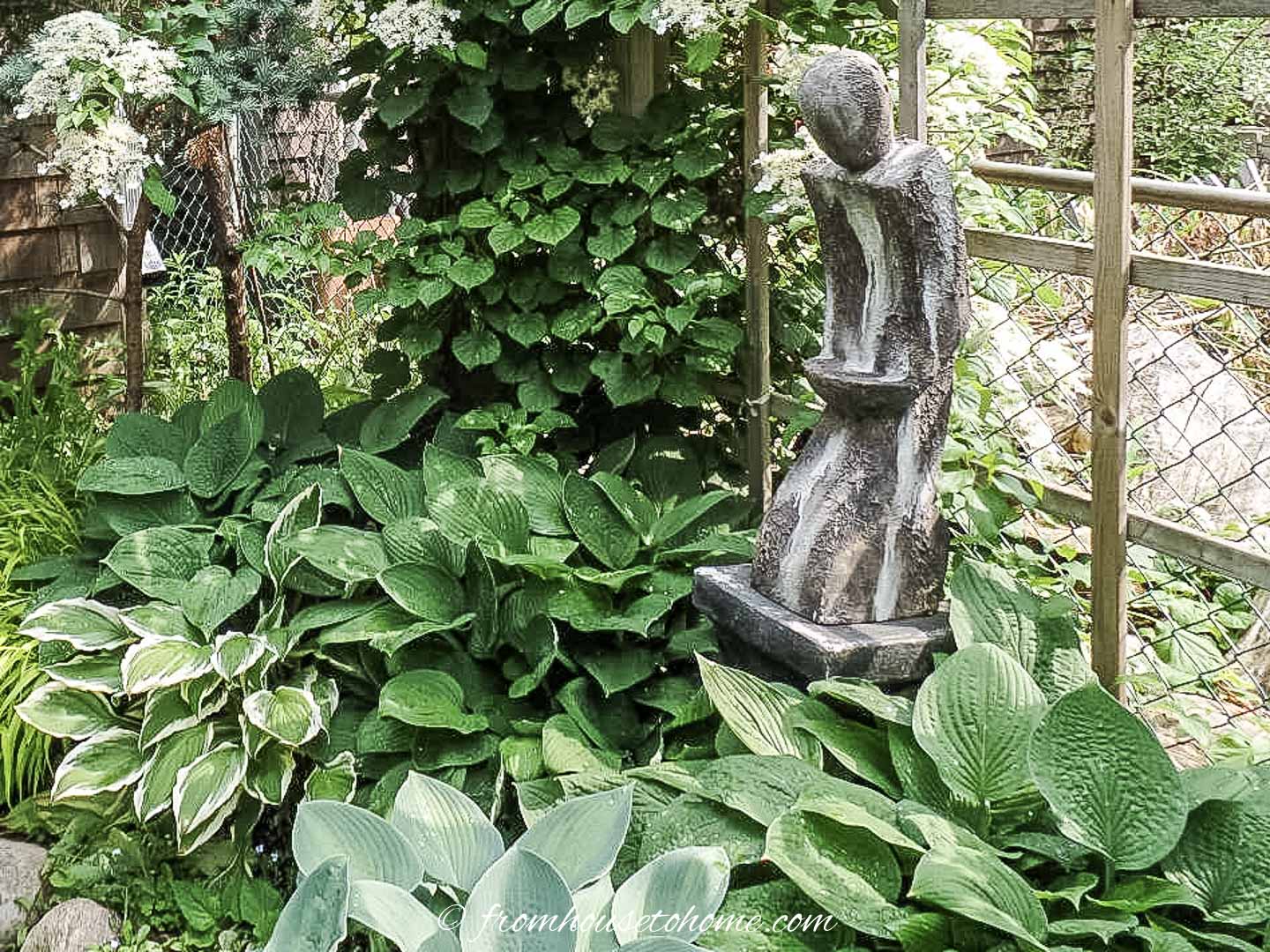 A bed of Hostas surrounding a statue