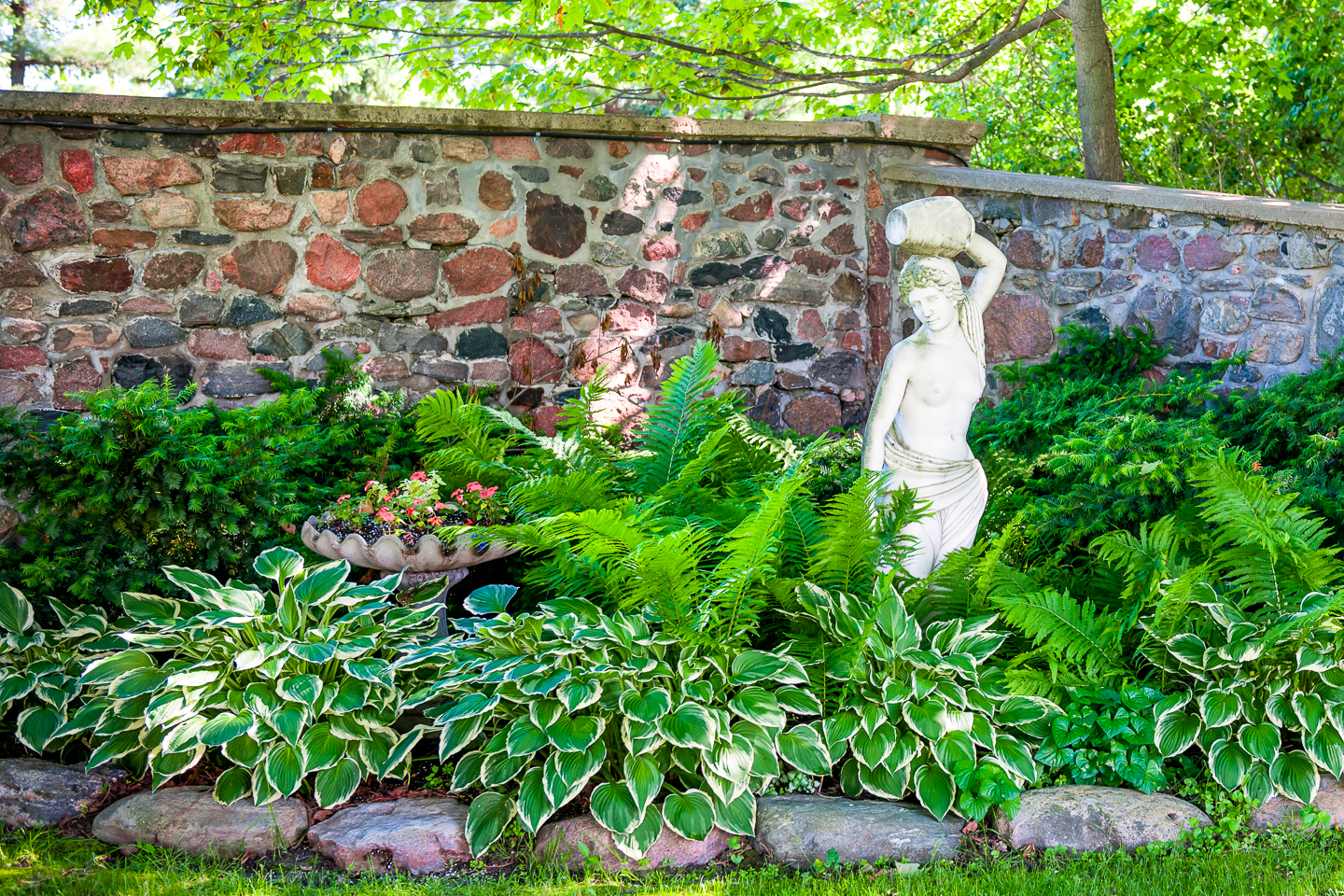 Hostas planted with ferns surrounding a statue and a container with impatiens
