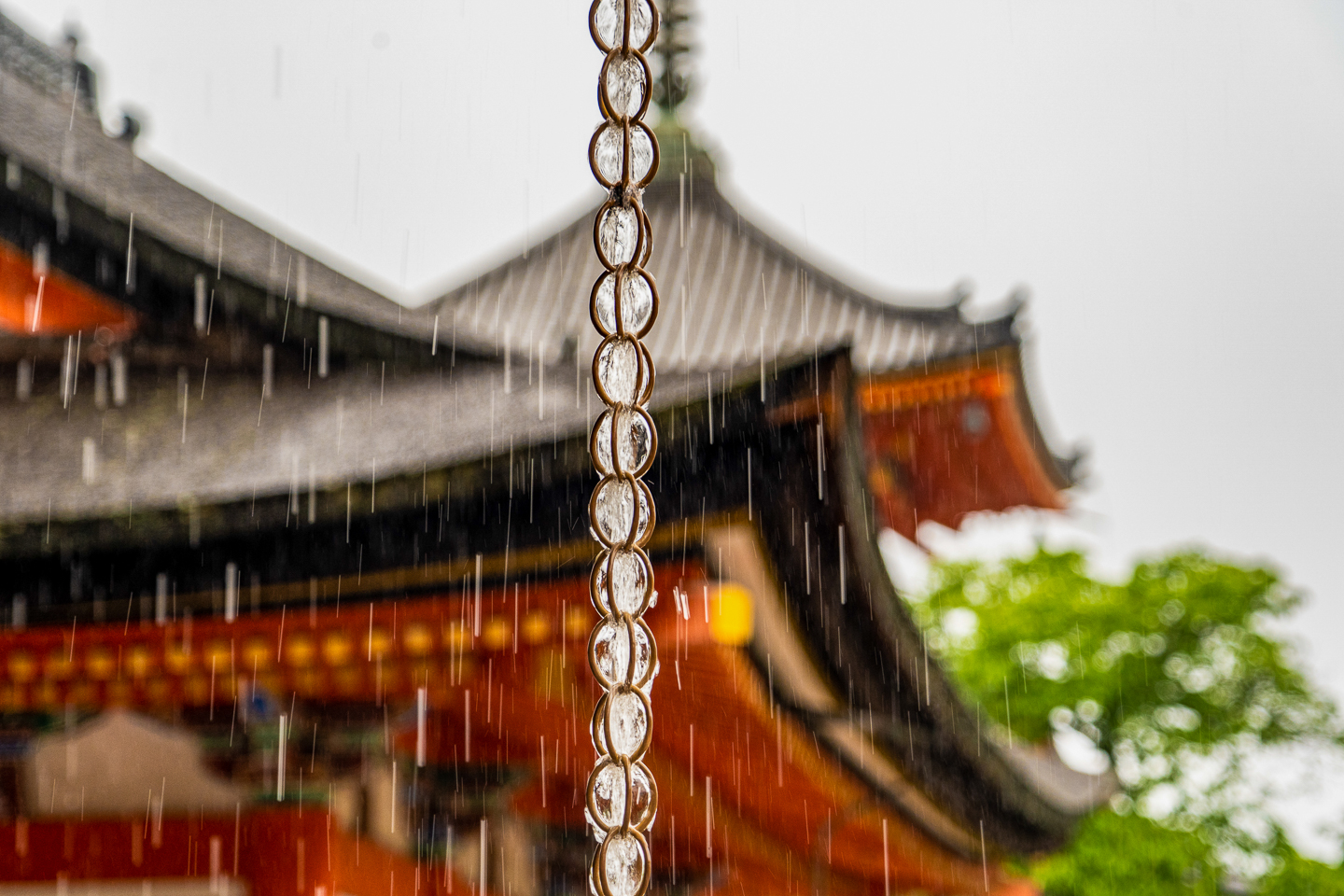 Rain chain with water running down with a Japanese house in the background