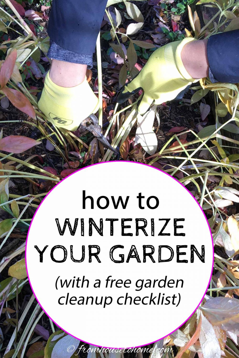 Fall Garden Cleanup Checklist: How To Winterize Your Garden