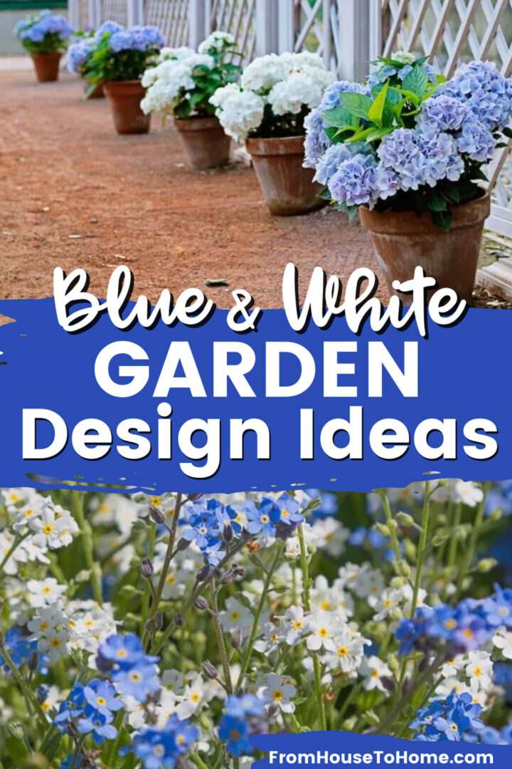 blue and white garden design ideas