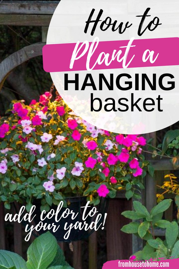 how to plant a hanging basket