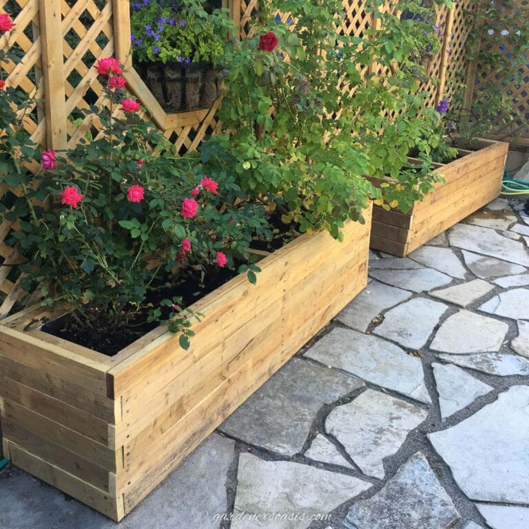 How To Build A Large DIY Planter Box