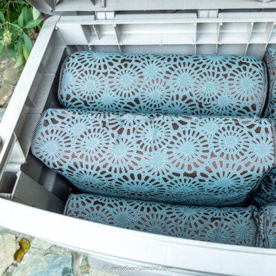 patio cushions in outdoor storage box with no spiders