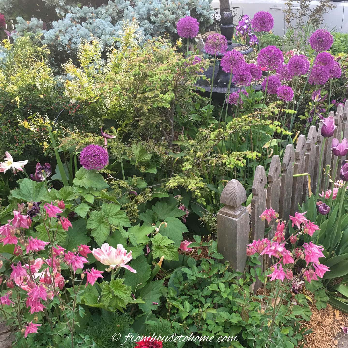 Small Garden Design Ideas For Year-round Interest