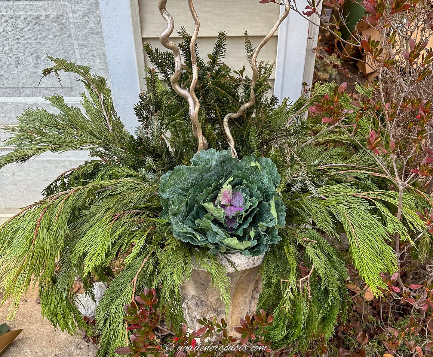 curly willow branches, cedar boughs, fir branches and ornamental cabbage in an outdoor porch pot