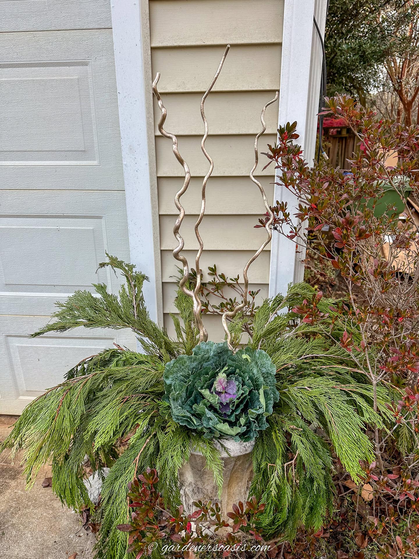curly willow branches, cedar and ornamental cabbage in an outdoor urn
