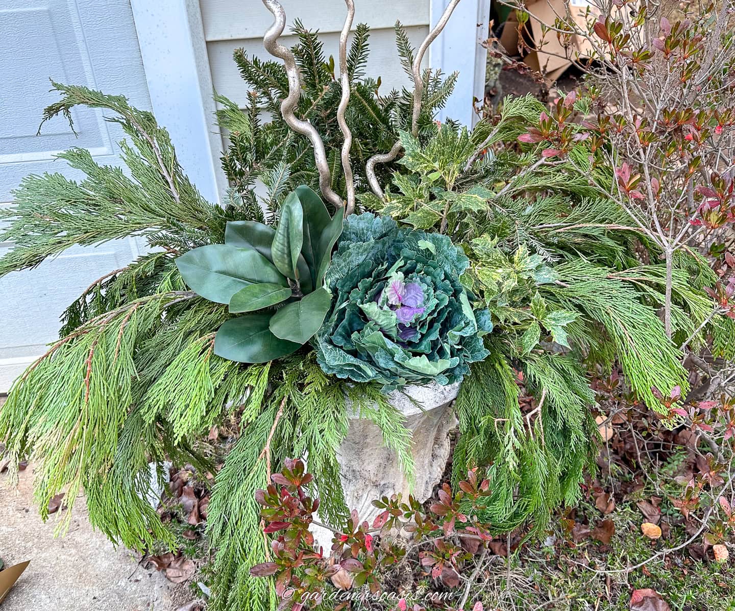 winter planter with cedar, spruce, curly willow, magnolia leaves, holly branch and ornamental cabbage