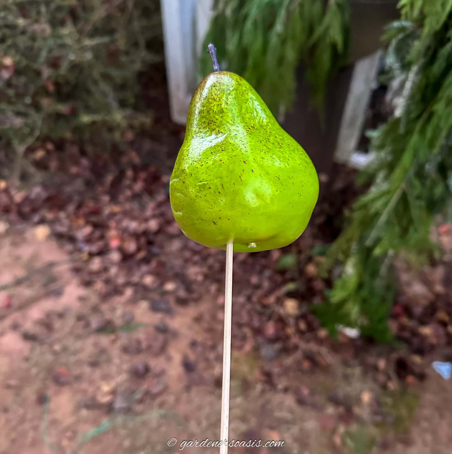 An artificial pear with a wooden skewer stuck into the bottom of it