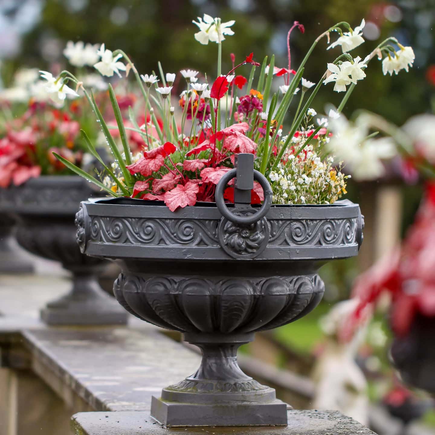 11 Simple Spring Planter Ideas