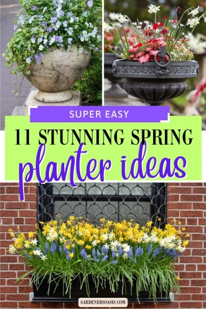 11 Simple Spring Planter Ideas