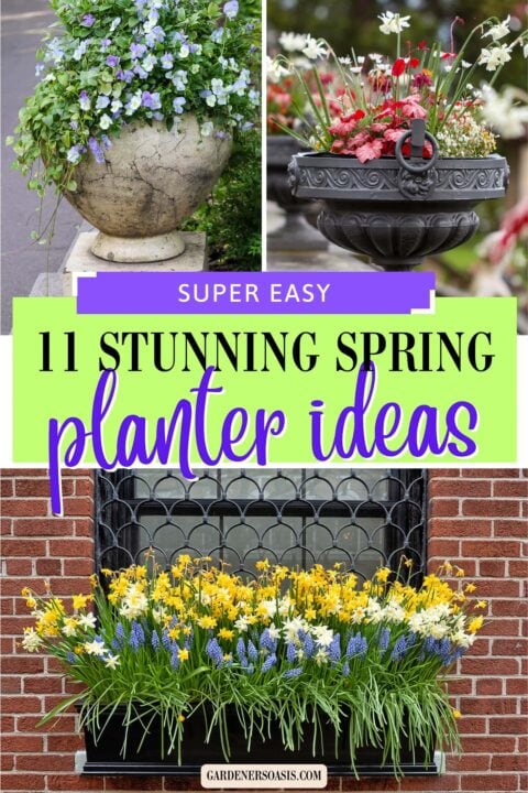 11 Simple Spring Planter Ideas