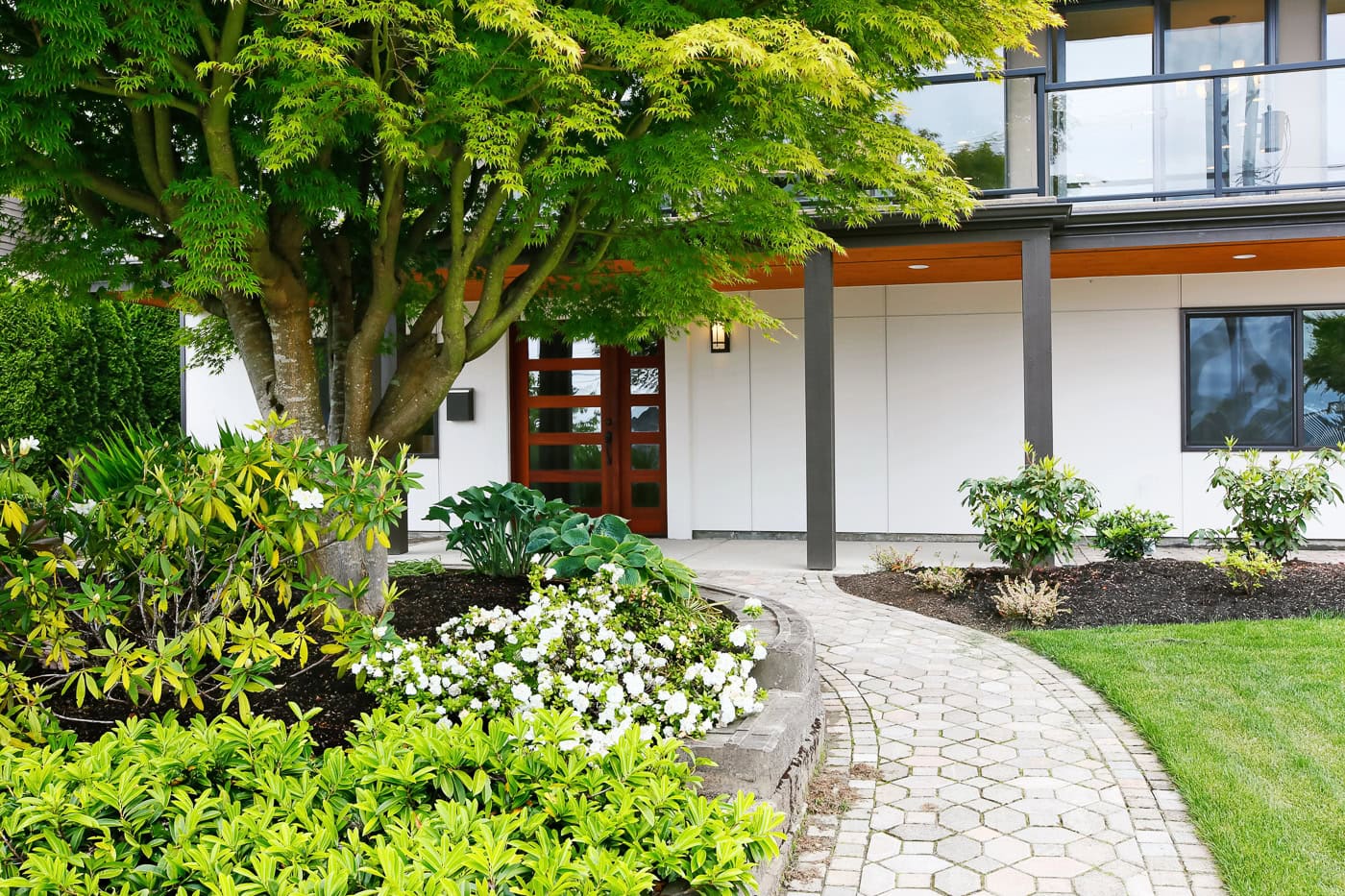 A front yard shade garden with Hostas, Rhododendrons and Azaleas