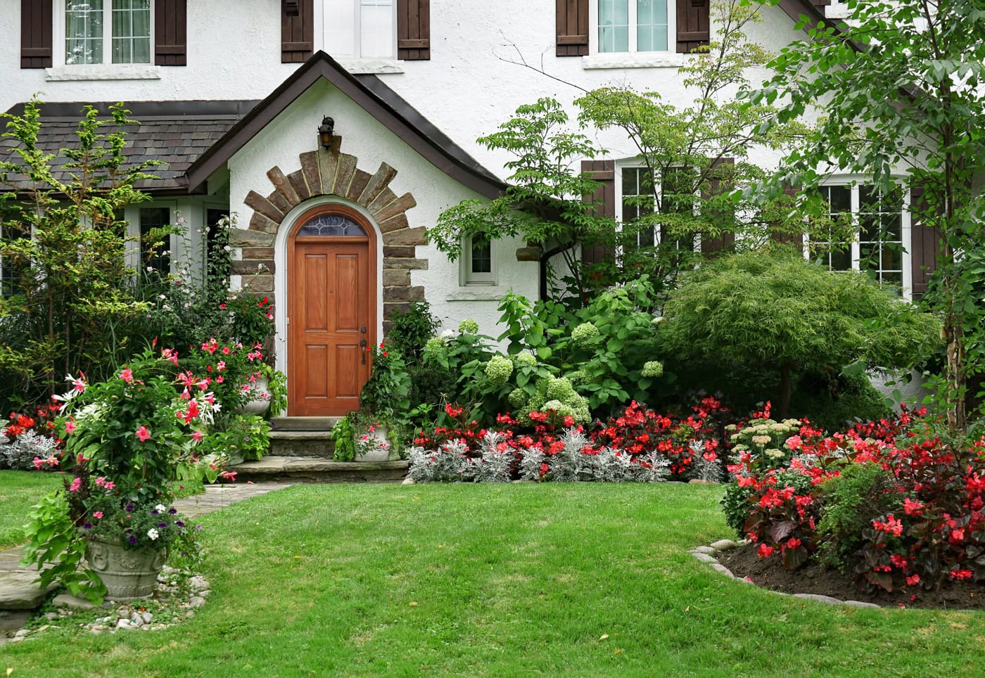A shady front yard with a red and white color scheme planted with Japanese Maple, Hydrangeas, begonias and dusty miller