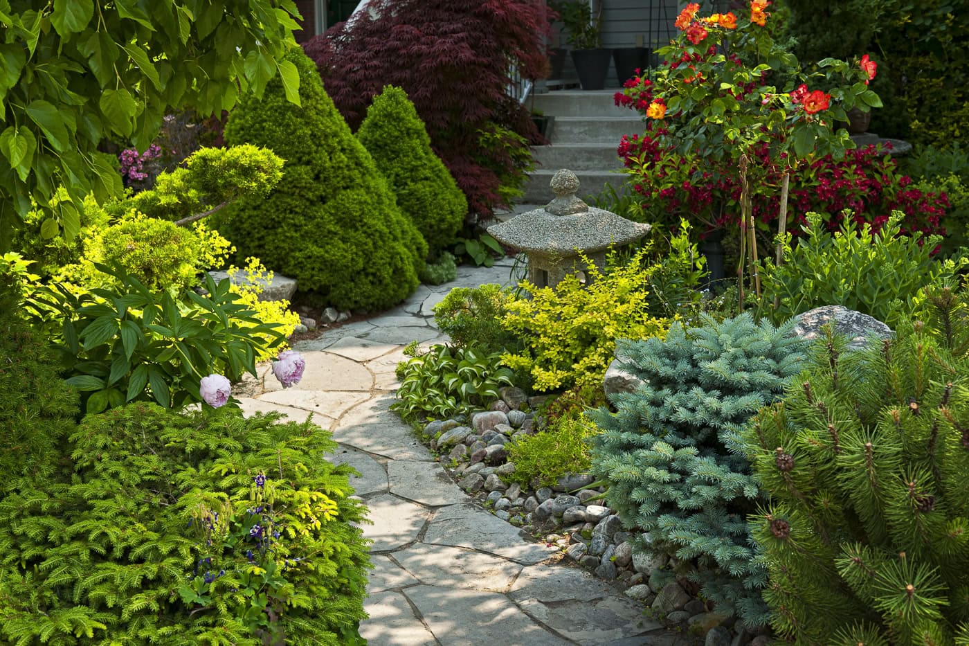 A Japanese-style front walkway landscaped with evergreens, peonies, Hostas, Japanese Maple, columbines and a Japanese statue