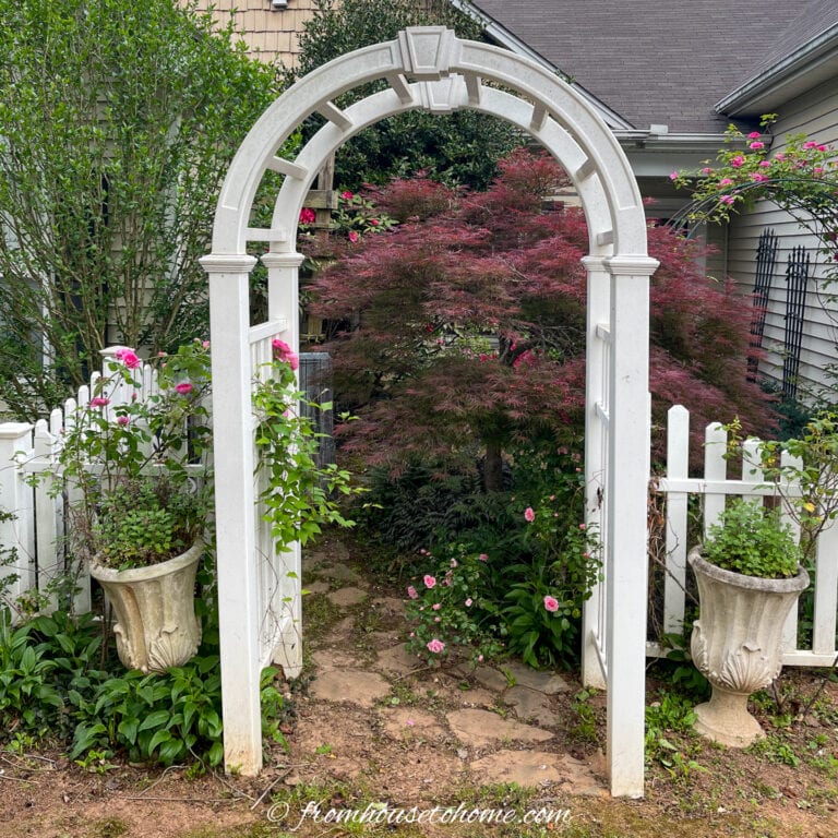 A white arbor and picket fence in a front yard