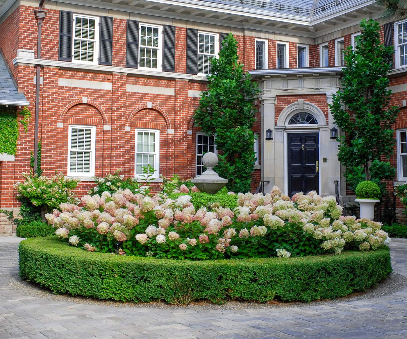 Hydrangeas growing inside a circle boxwood hedge in the front yard of a large house