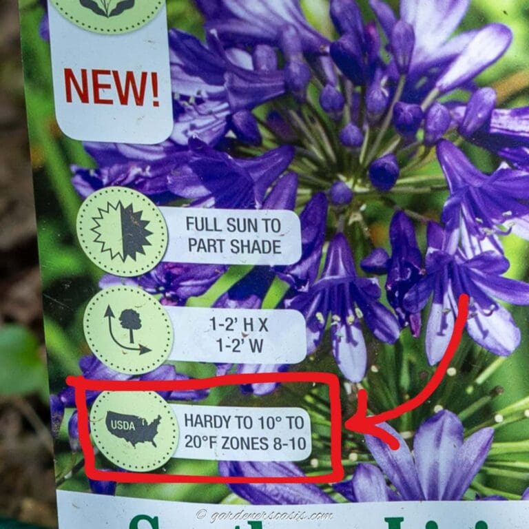 plant label with the gardening zone highlighted
