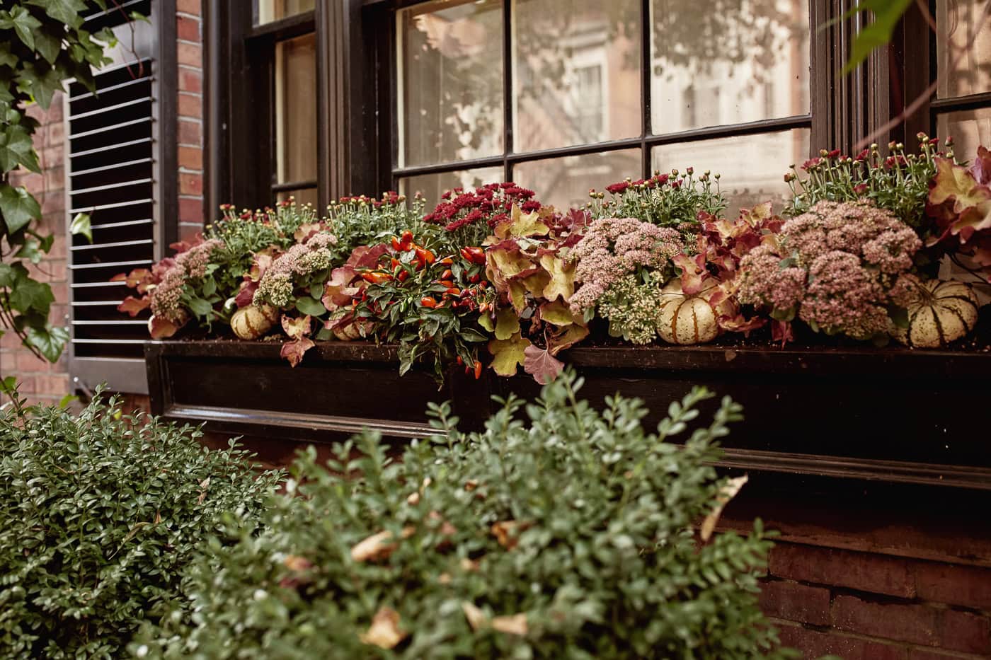 A window box filled with autumn plants, flowers, and small decorative gourds sits beneath a multi-paned window on a brick building.