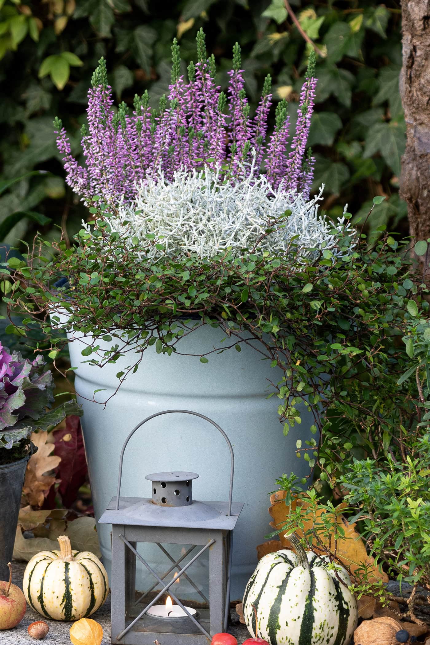 A pale blue flowerpot with purple and white flowers, surrounded by greenery, small decorative gourds, and a lit lantern.
