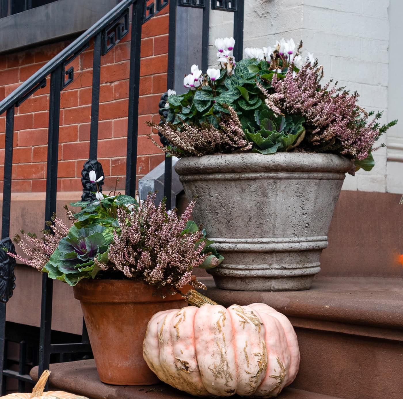 Two potted plants with purple and white flowers sit on brown stone steps next to a large, pale pink pumpkin in front of a brick and white building.