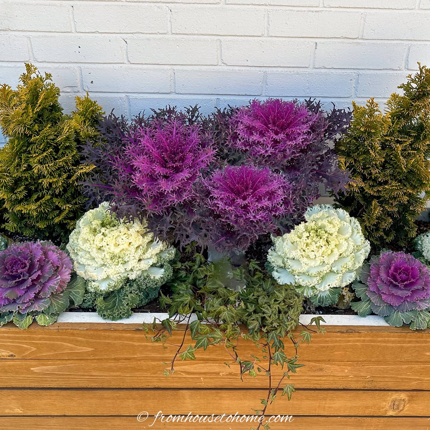 11 Seasonal Fall Planters Ideas