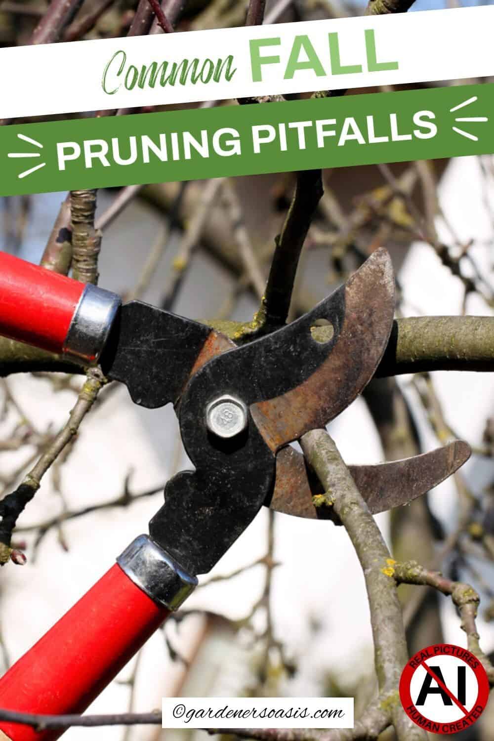 common fall pruning mistakes