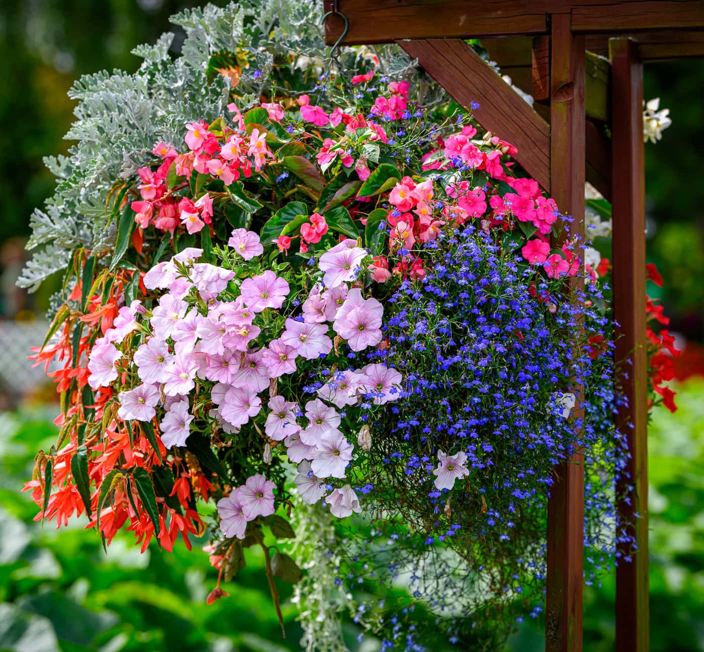 A hanging basket filled with blooming pink, red, and blue flowers is attached to a wooden garden structure, with green foliage in the background.