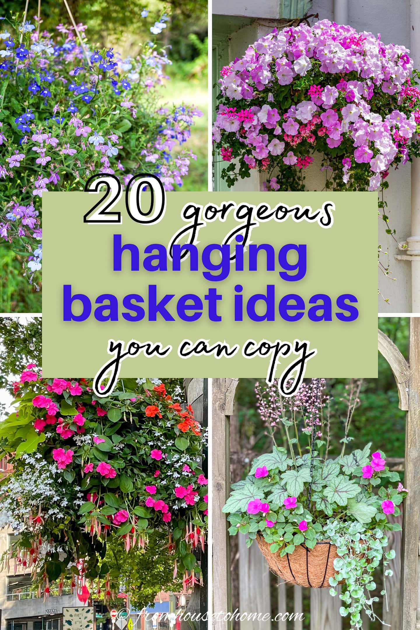 20 gorgeous hanging basket ideas you can copy