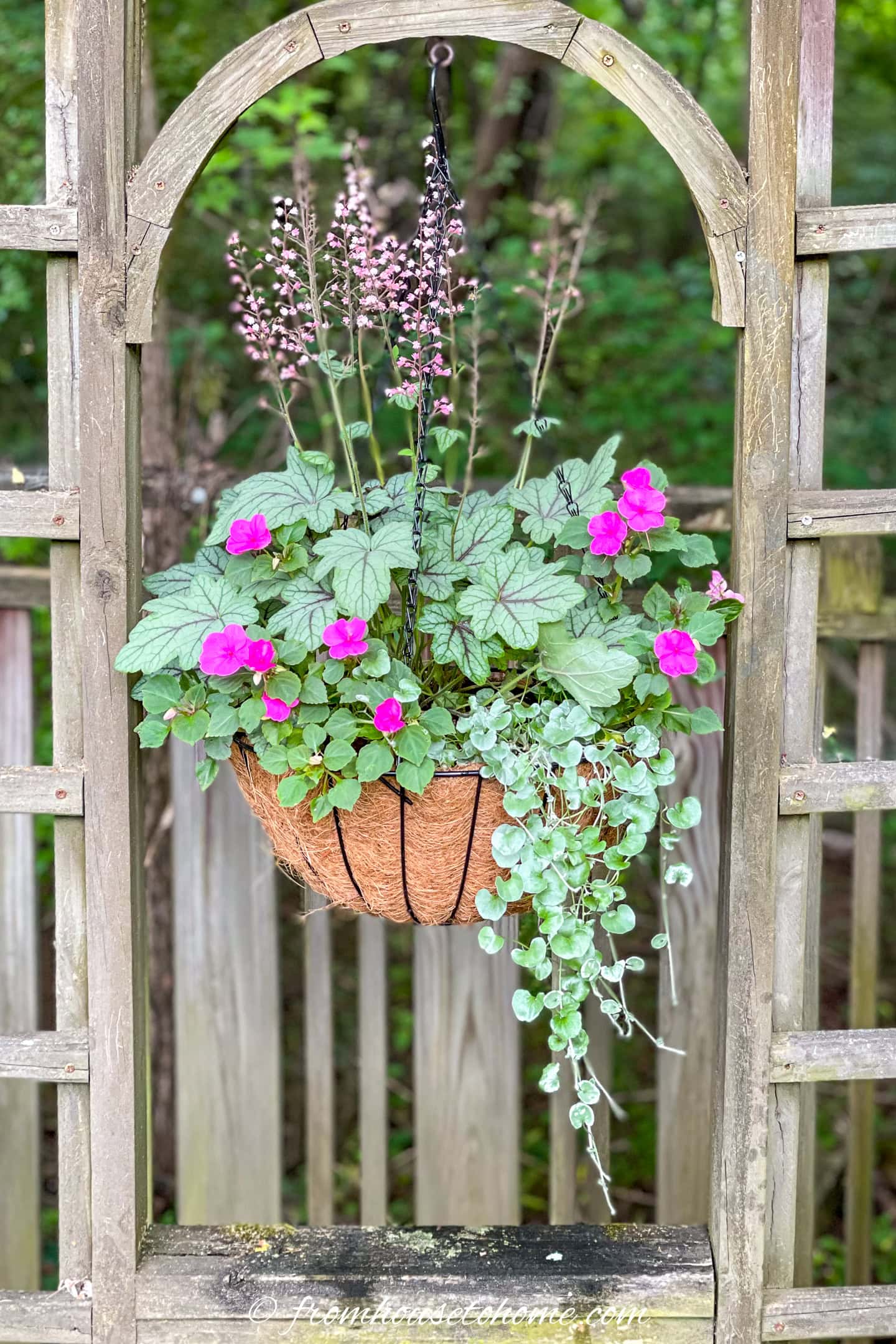 A hanging basket with pink flowers and green foliage is suspended from a wooden trellis in an outdoor garden setting.