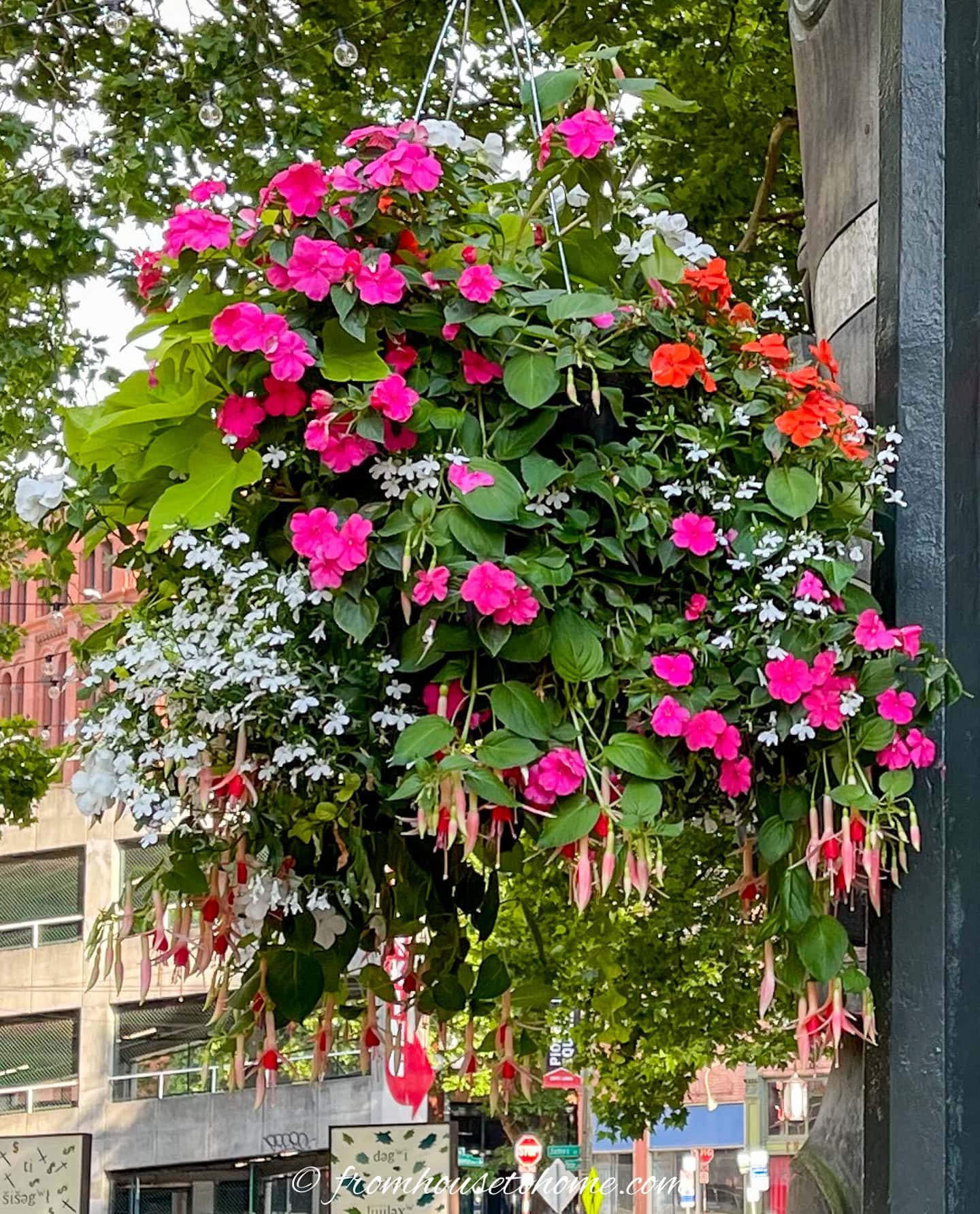 A hanging basket filled with pink, red, and white flowers and green leaves, displayed outdoors near a street and buildings.