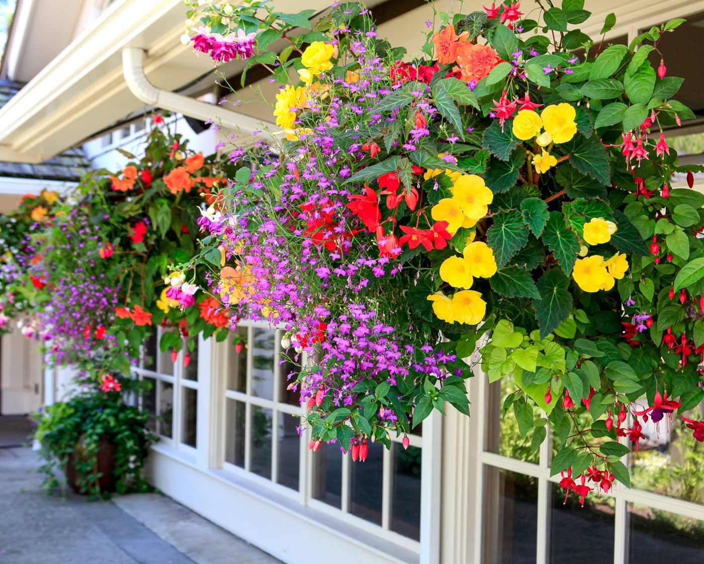 Hanging baskets with colorful flowers, including yellow, red, and purple blooms, decorate the exterior of a building with large windows.