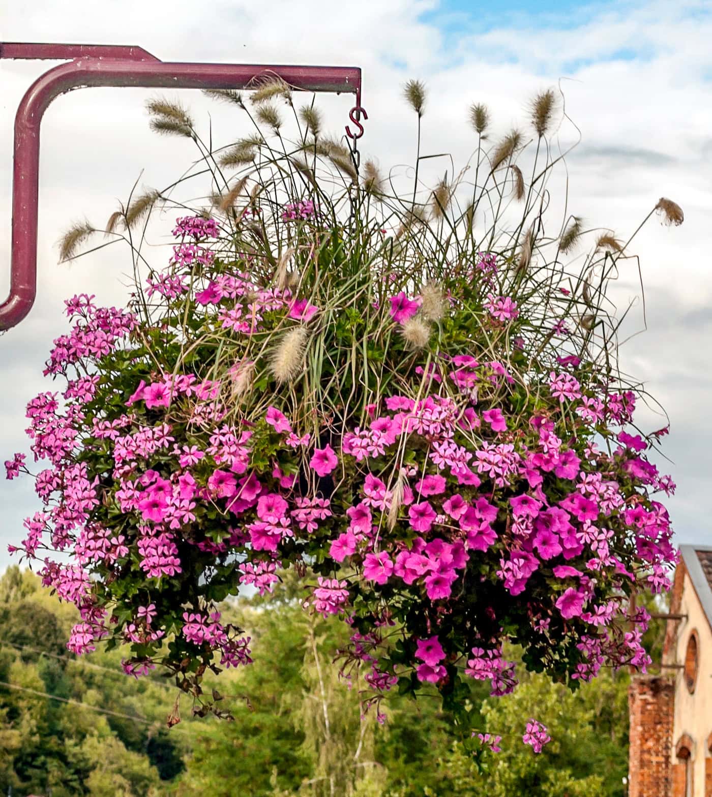 A hanging basket filled with vibrant pink flowers and ornamental grasses, set outdoors against a backdrop of trees and a partly cloudy sky.