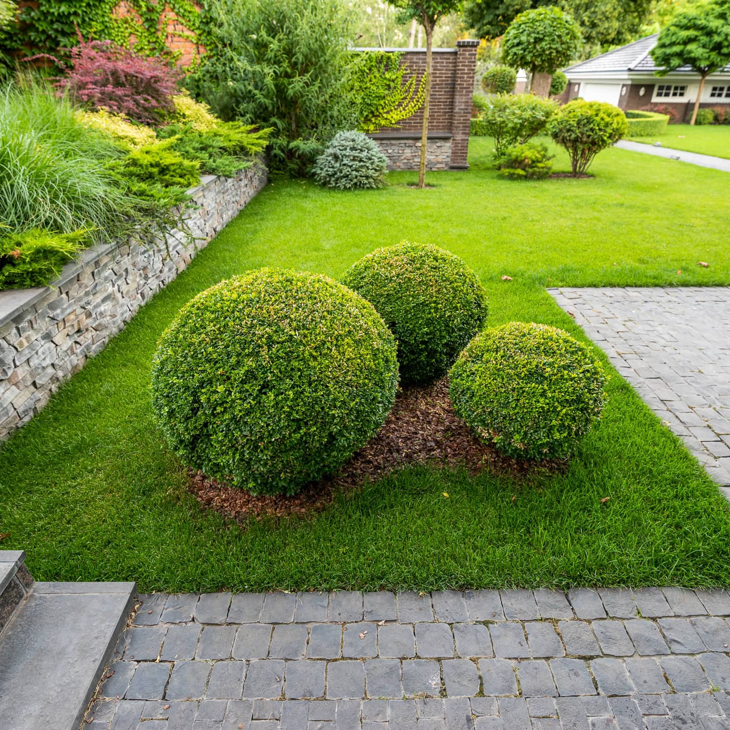 20 Boxwood Landscaping Ideas That Add Style and Structure to Your Garden