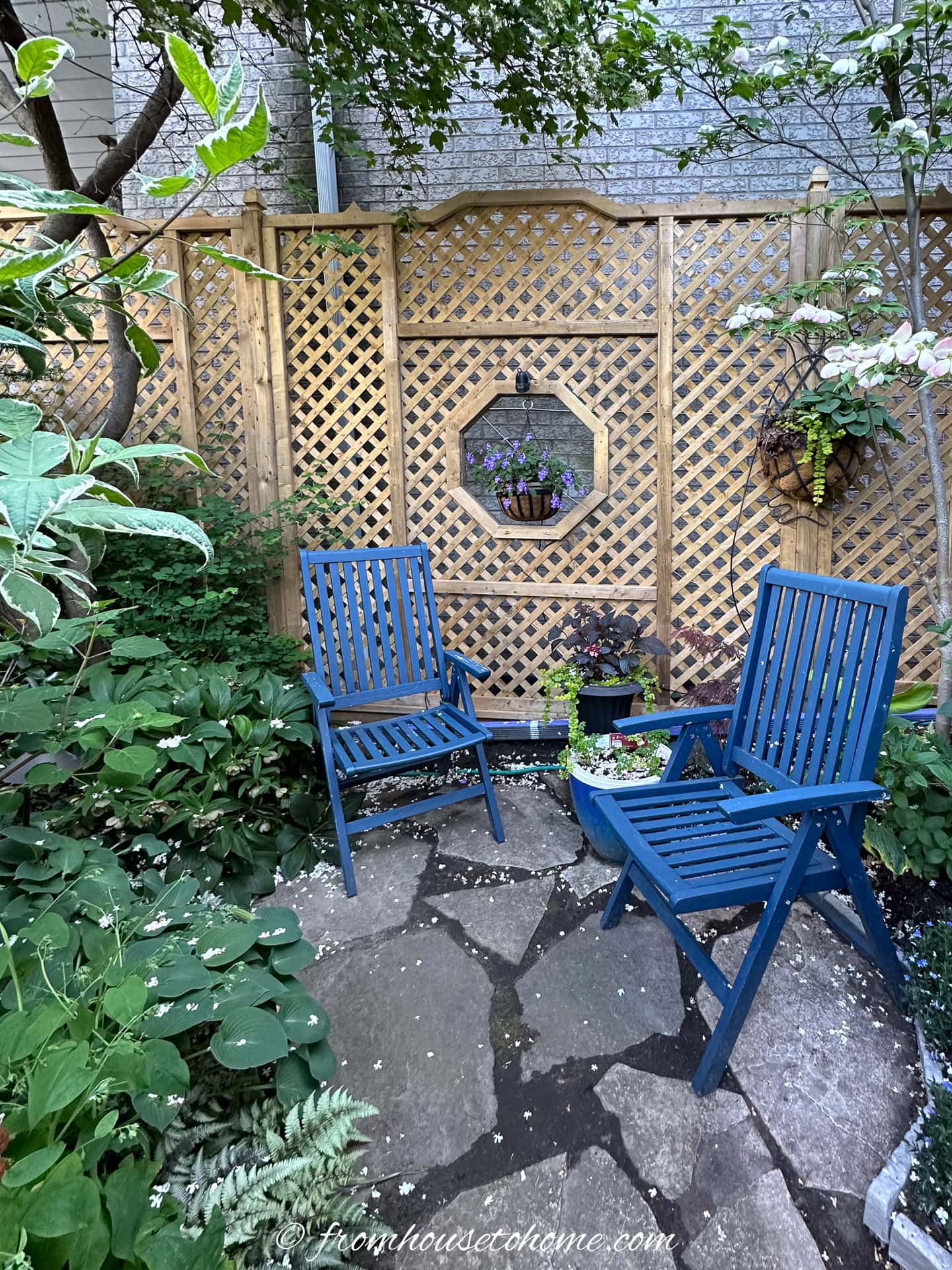 Two blue wooden chairs sit on a stone patio in a small garden, surrounded by green plants and a wooden lattice fence with potted flowers.