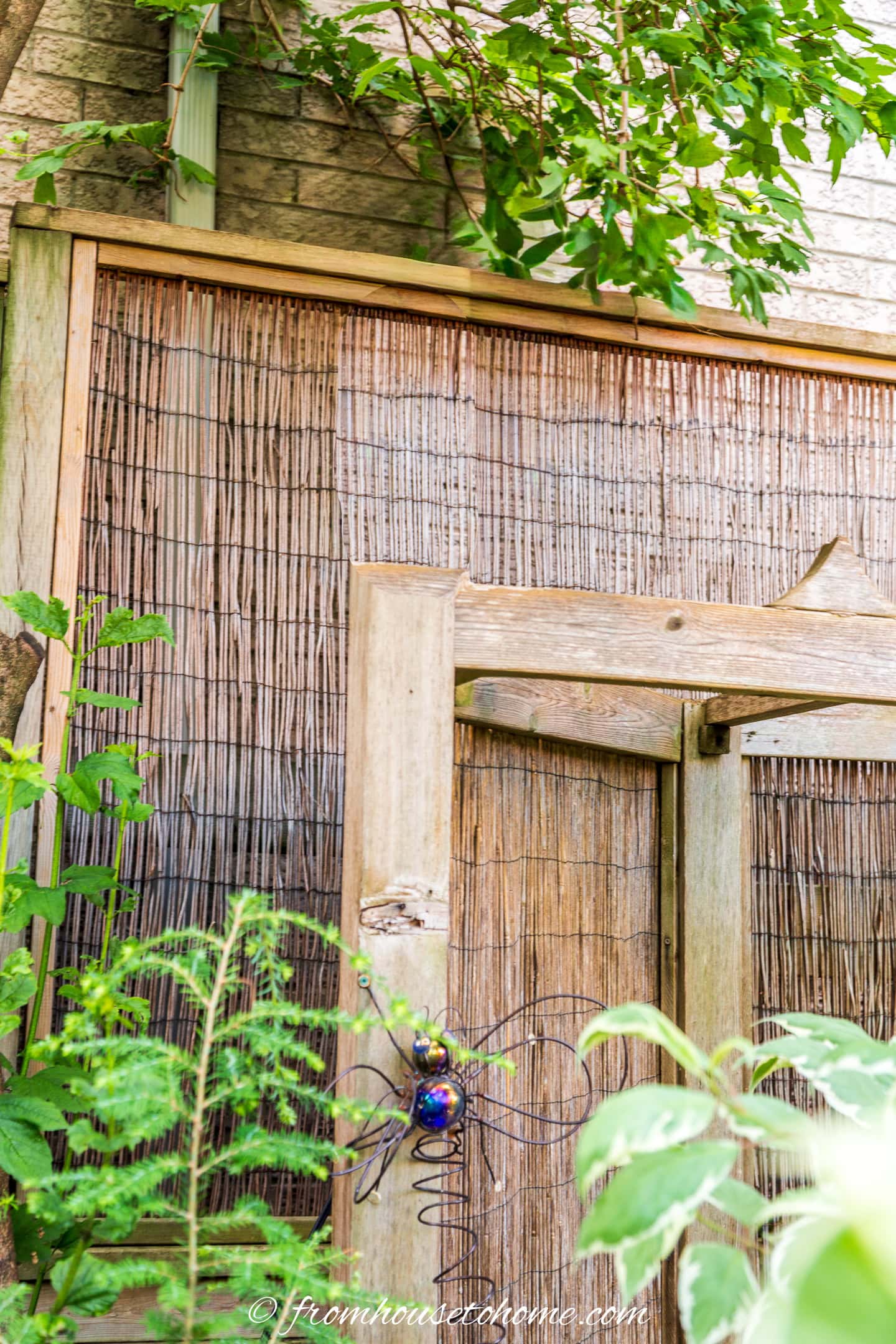 A wooden pergola stands in front of a bamboo privacy fence, surrounded by green plants and foliage. A metal insect decoration is attached to the pergola.