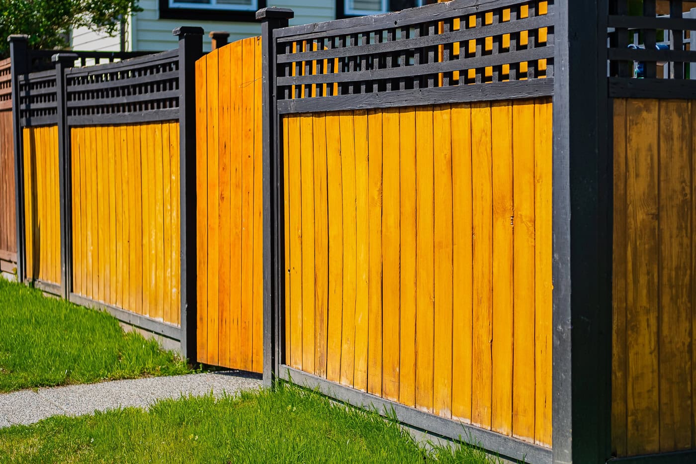 A yellow wooden fence with dark trim and a latticed top section stands along a sidewalk with green grass on either side.