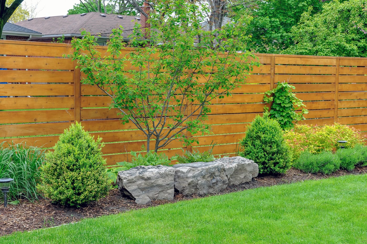 A landscaped backyard with green grass, shrubs, a small tree, large rocks, and a wooden privacy fence.