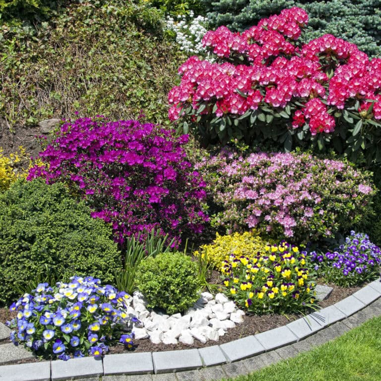 a flower garden landscape