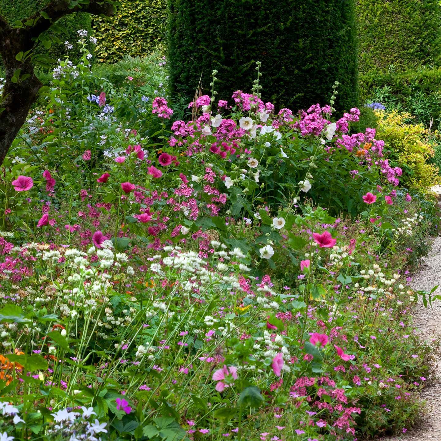 Small Cottage Garden Ideas