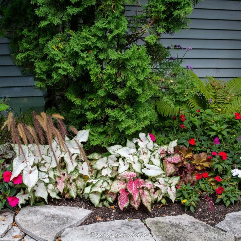 13 Creative Ways To Use Annuals In The Garden
