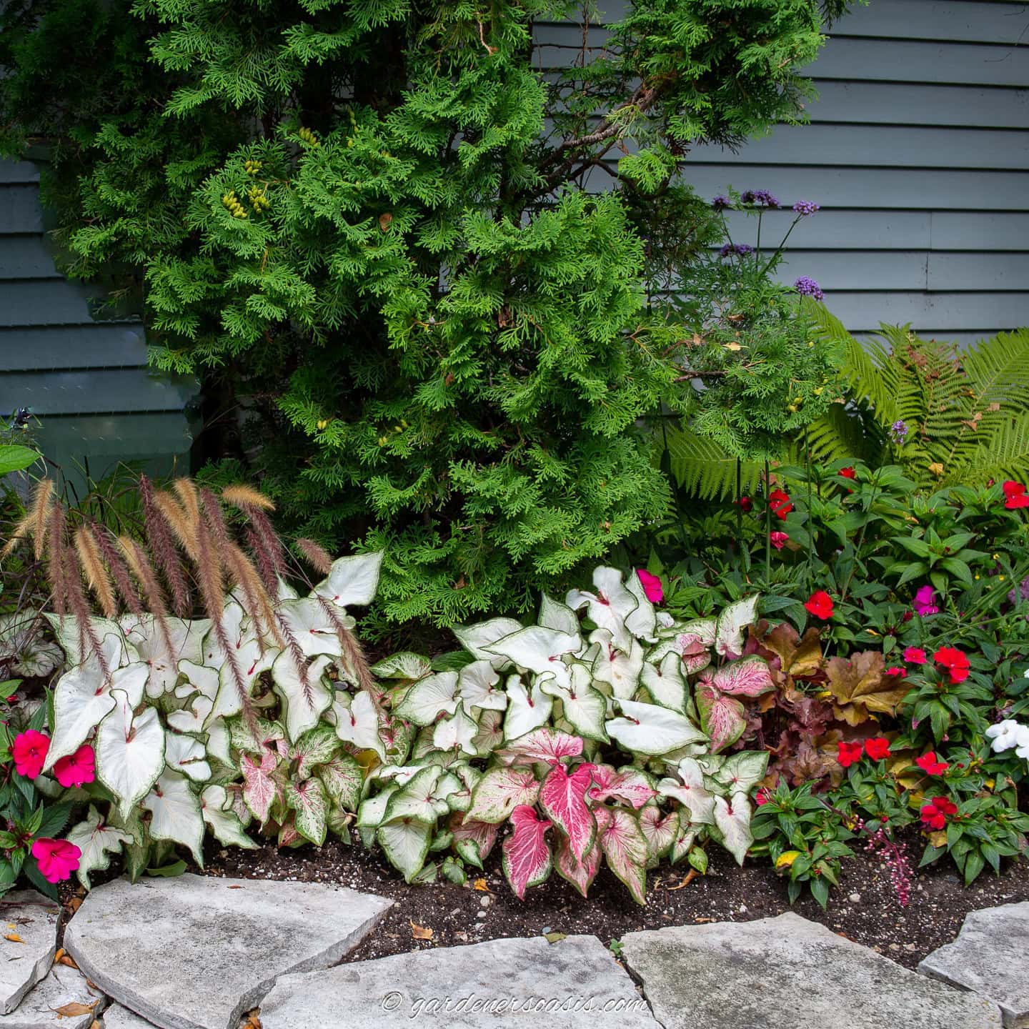 13 Creative Ways To Use Annuals In The Garden