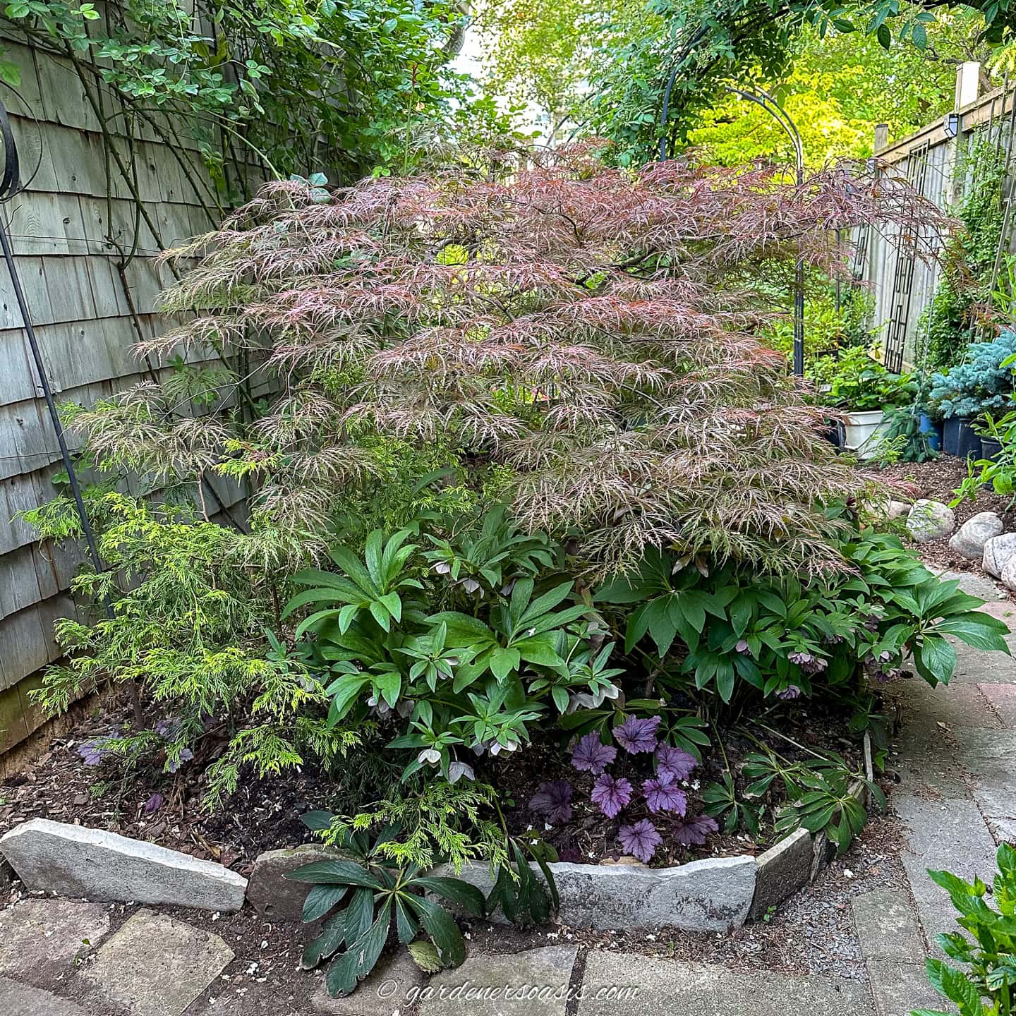 10 Shade Garden Bed Design Tips (Using Real Garden Examples)