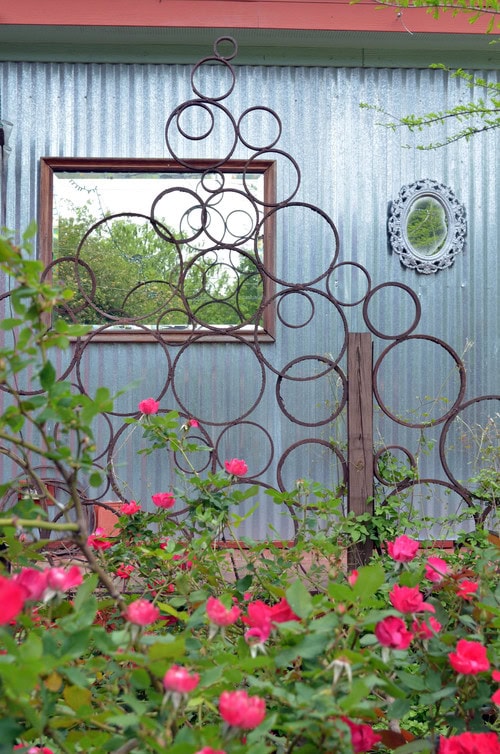 Pink roses grow in front of a metal fence with circular patterns, a corrugated metal wall, a window, and a decorative oval mirror in the background.
