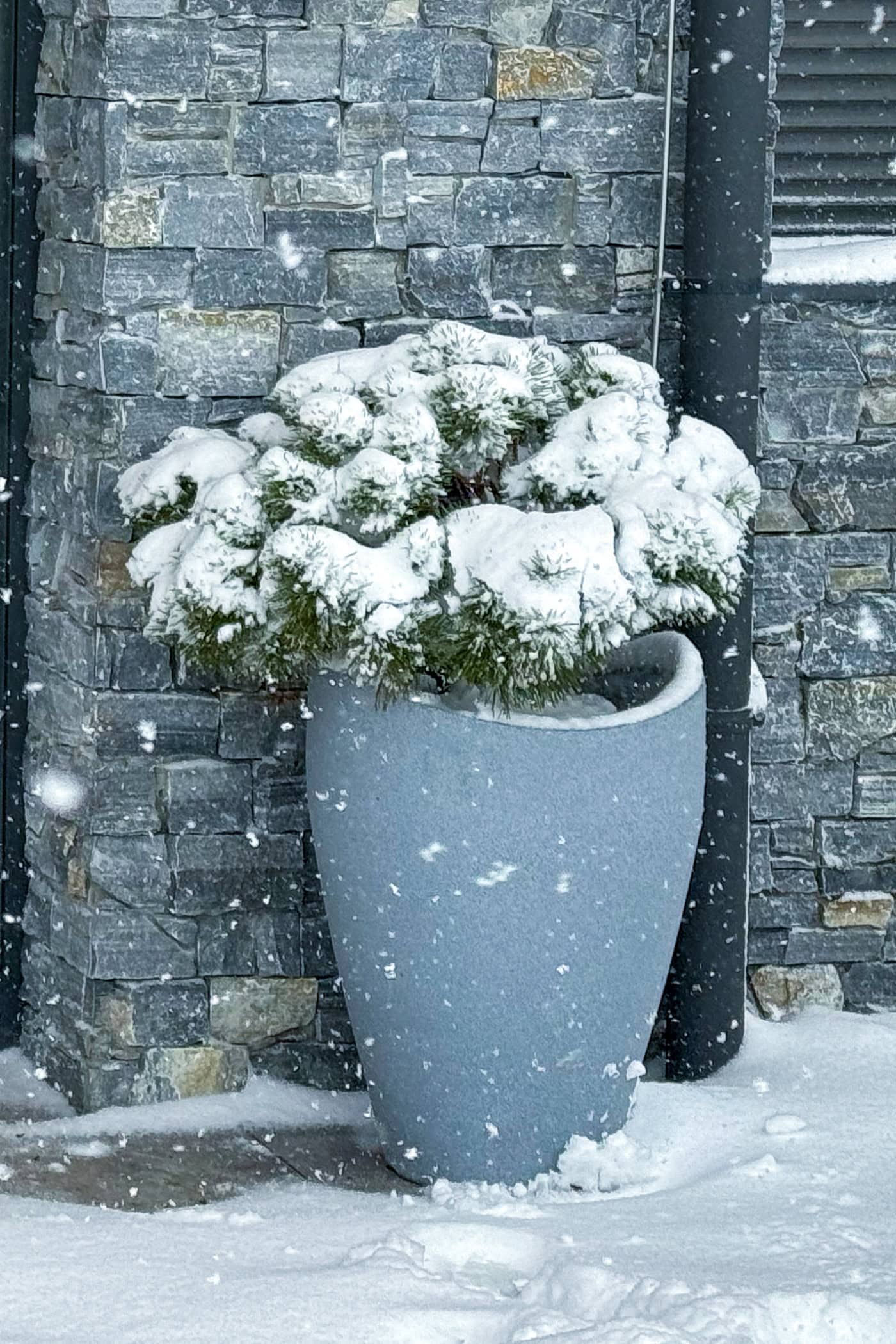 A tall resin urn with an evergreen covered in snow